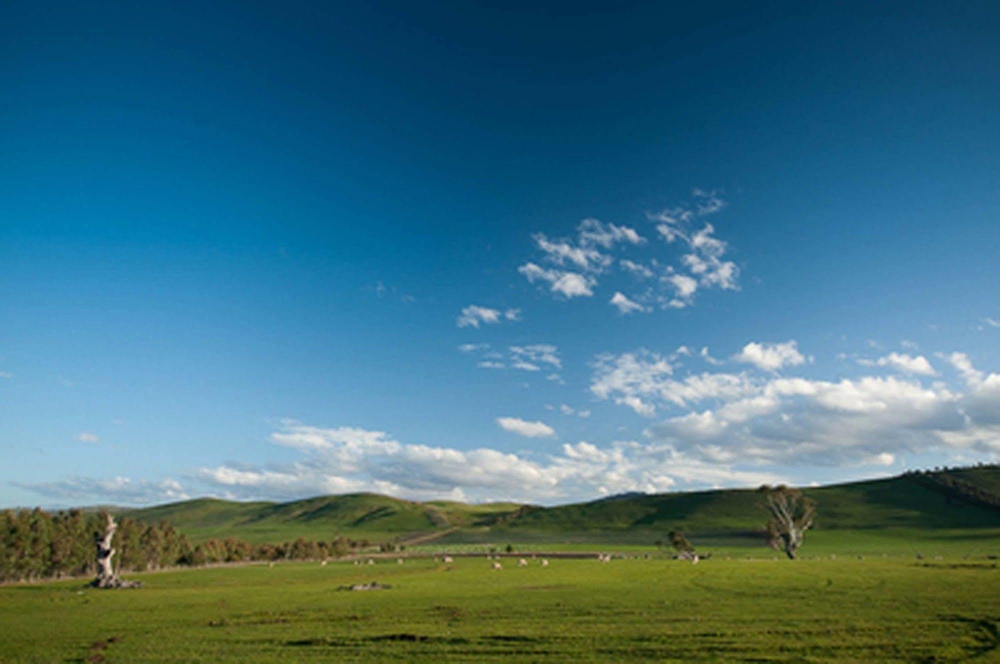 Curringa Farm Meadowbank Exterior foto